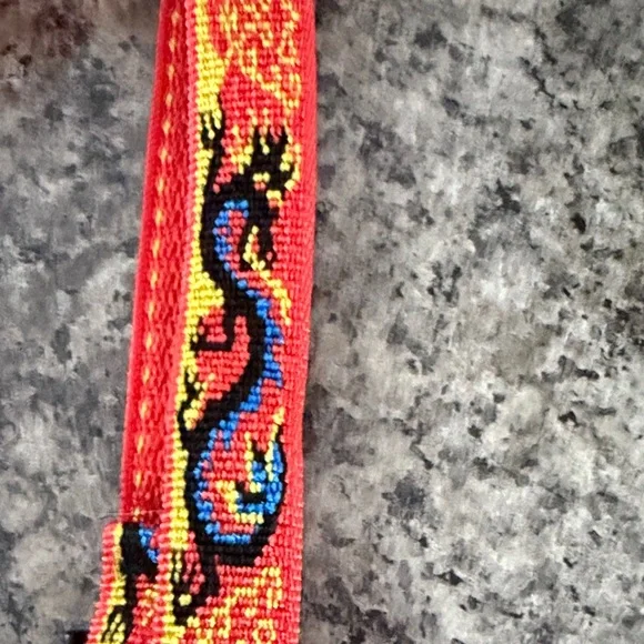 21 Vibrant Multicolor Dog Collars used